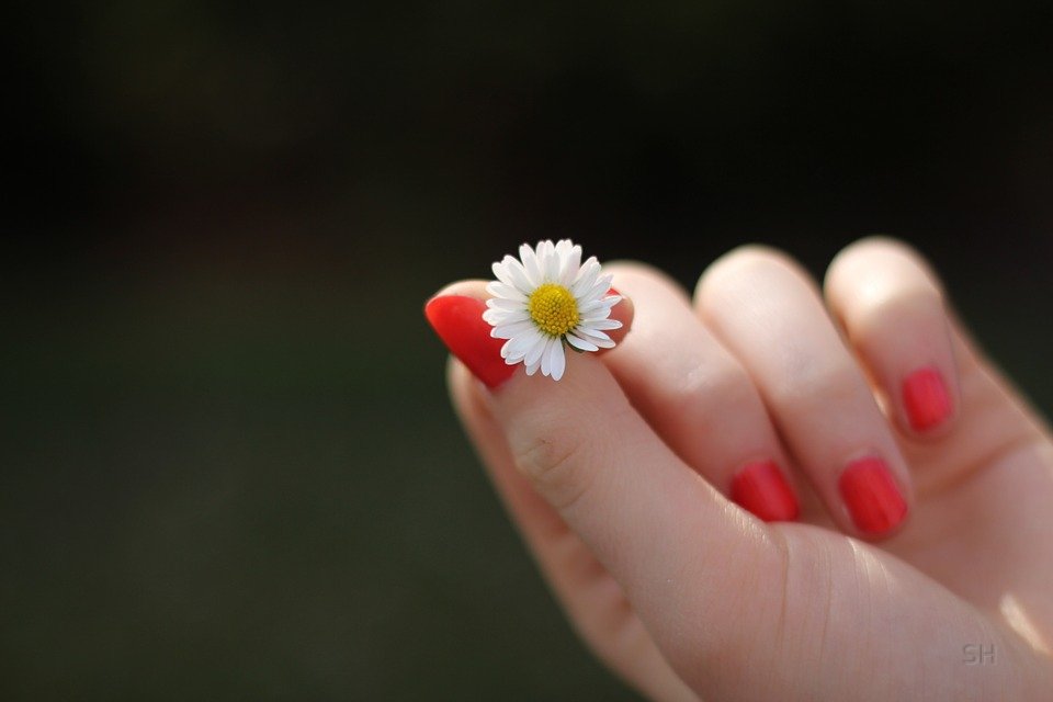 Pro Nails nail photo 3